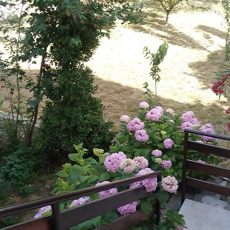 Suzana