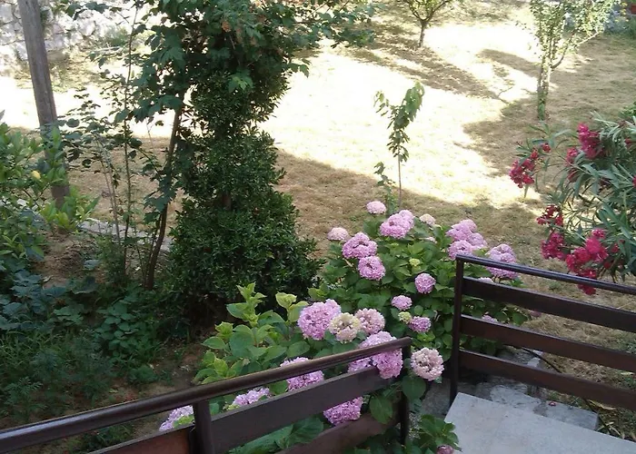 Suzana